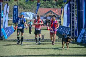 BIB: 
                            <button type="button" onclick="openModal(26793486)" class="btn btn-primary btn-sm float-right btn-popup" data-toggle="modal" data-target=".modal-high-quality">
                        <i class="fas fa-shopping-cart"></i> Add to Cart
                    </button>
                                            <button type="button" onclick="isThisMe(26793486, true)" class="btn btn-success btn-sm float-right btn-popup btn-isme hidden" data-toggle="tooltip" data-placement="bottom" title="นี่คือรูปของคุณใช่ไหม คลิกที่นี่เพื่อเอาเข้าอัลบั้ม">
                        <i class="fas fa-plus"></i> Add to album
                    </button>
                    <button type="button" onclick="isThisMe(26793486, false)" class="btn btn-warning btn-sm float-right btn-popup btn-isnotme hidden">
                        <i class="fas fa-ban"></i> Remove from album
                    </button>